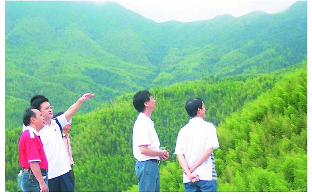 馬安竹海一角 馬安竹海一角