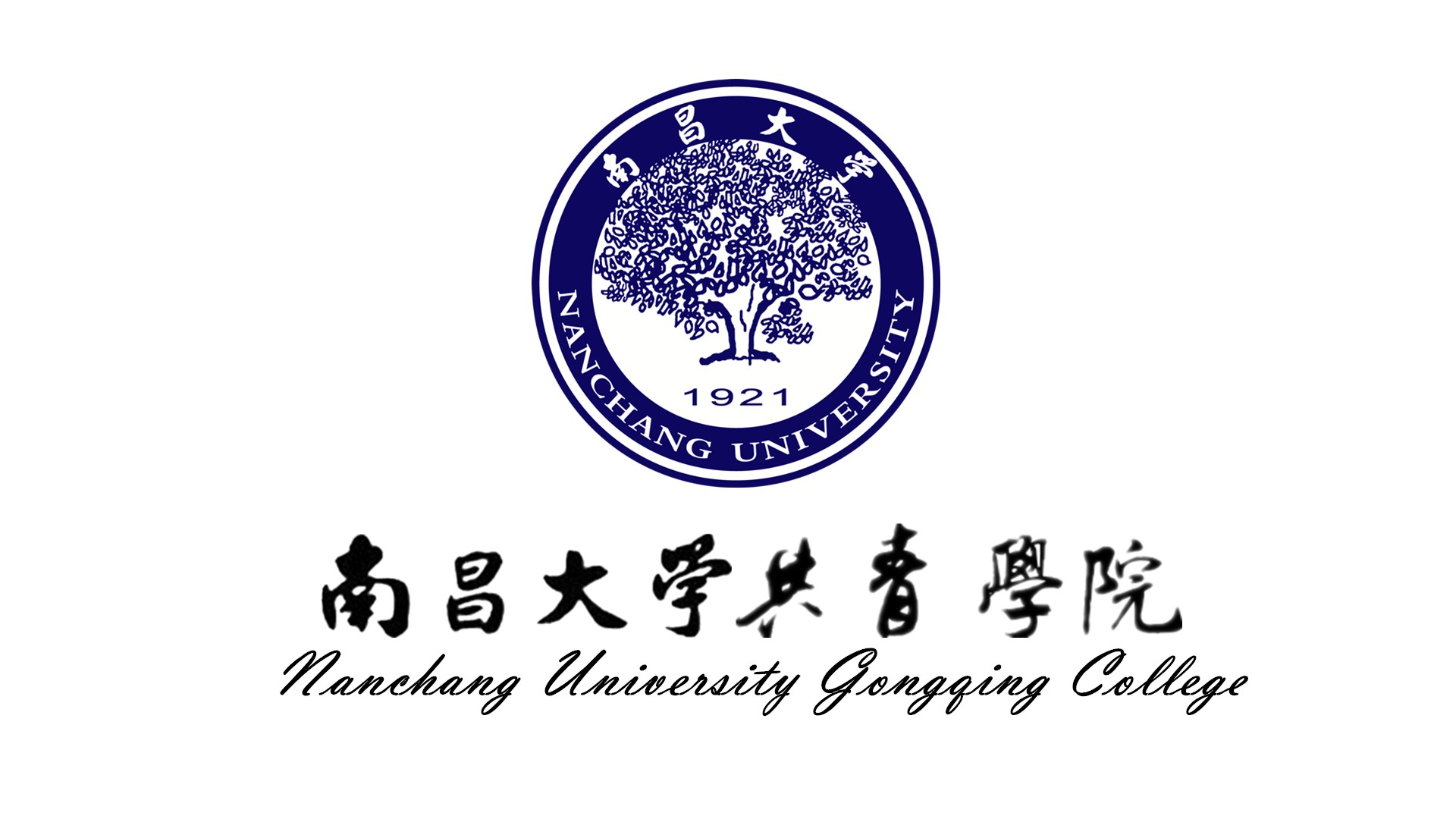 南昌大學共青學院院旗 南昌大學共青學院院旗