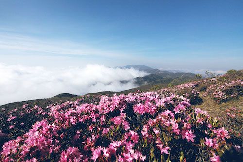 金陽縣 金陽縣