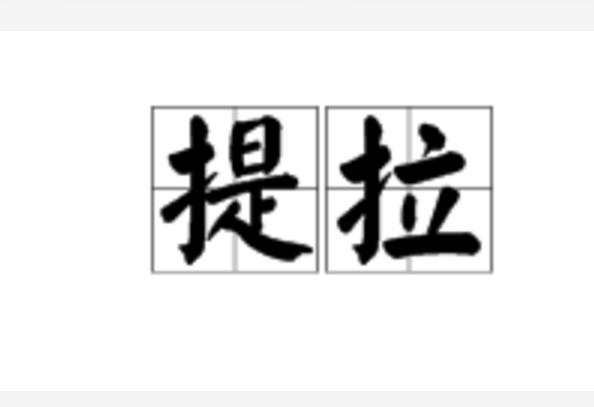 提拉(詞語)