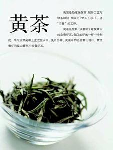 黃茶 黃茶