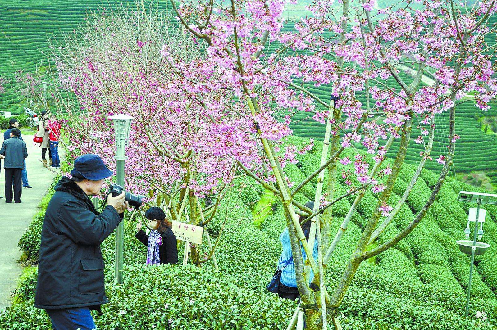 休閒農業 休閒農業