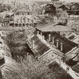 宗人府