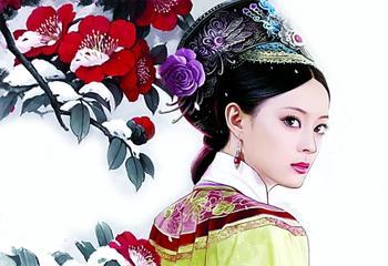甄嬛體 甄嬛體