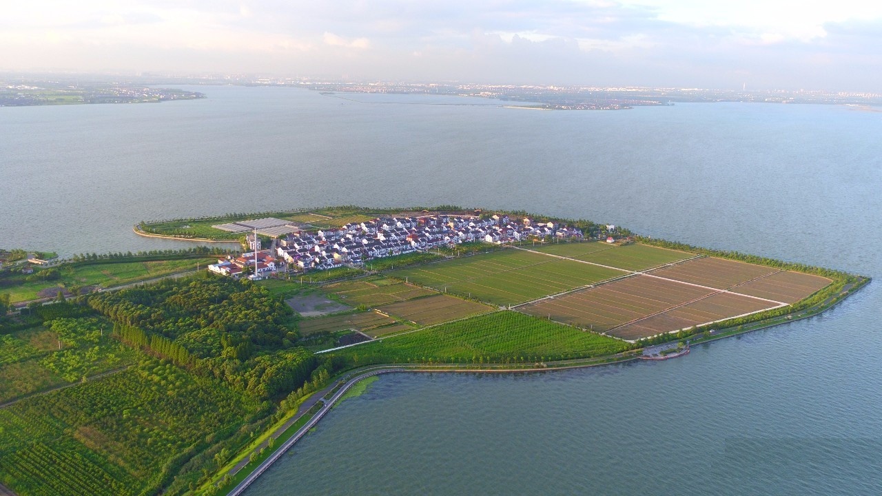 澱山湖西岸青浦區金澤鎮蔡浜村及附近水面 澱山湖西岸青浦區金澤鎮蔡浜村及附近水面