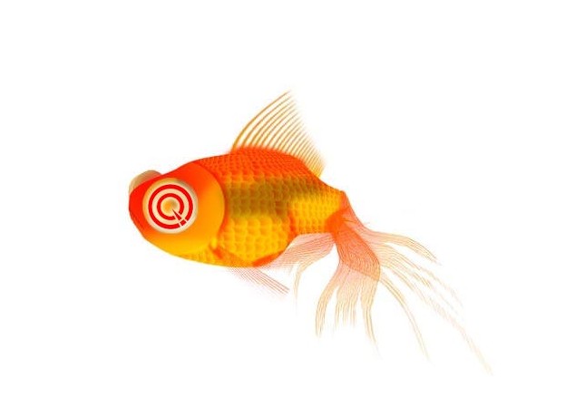 金魚圖片 金魚圖片