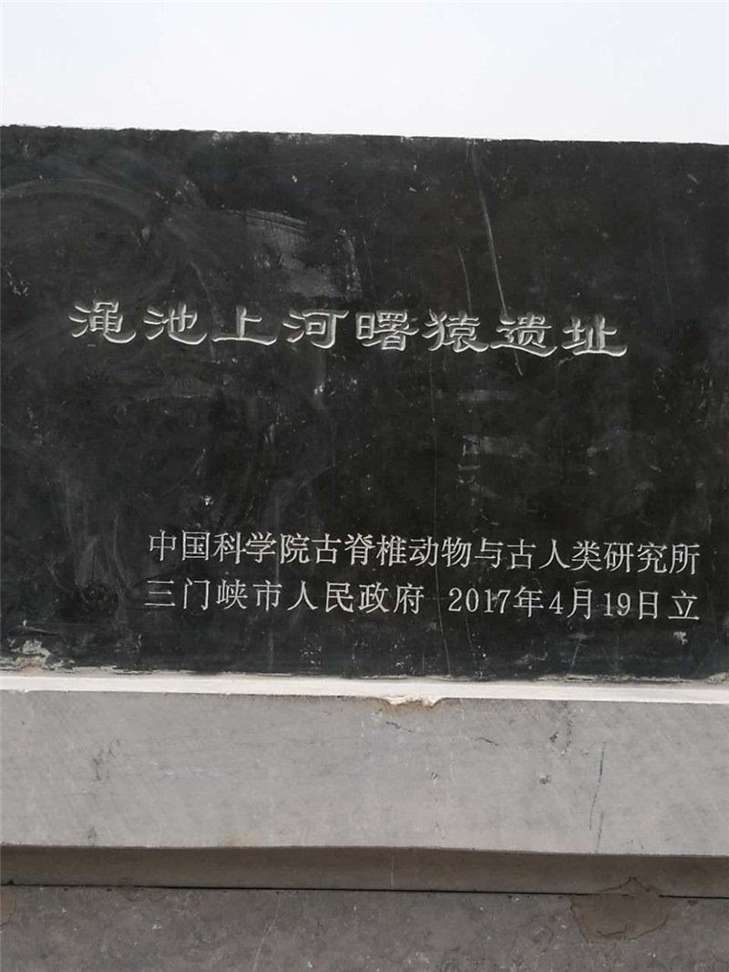 澠池上河曙猿遺址 澠池上河曙猿遺址