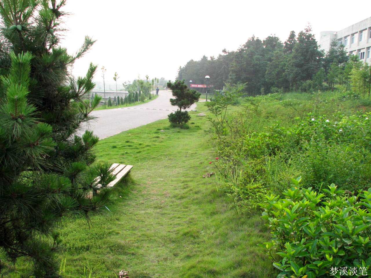 ahead【茵茵校路】 ahead【茵茵校路】