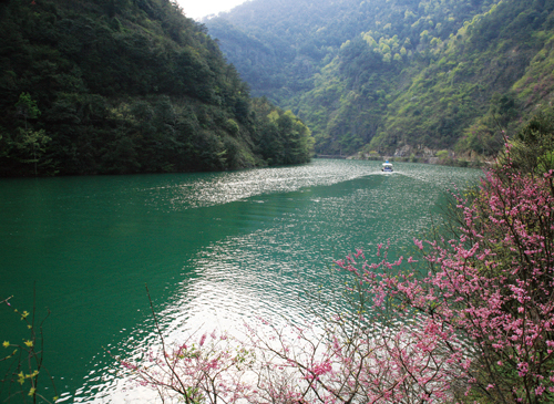 浦江縣 浦江縣