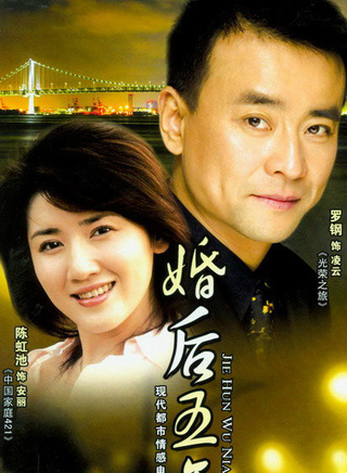 姜鴻(中國內地女演員)