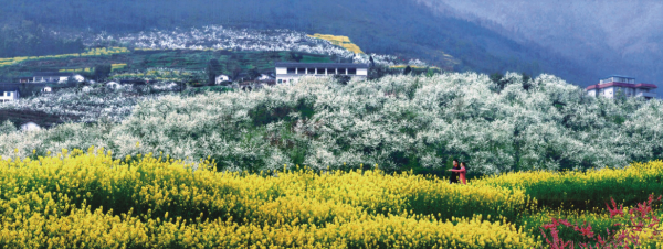 九龍山