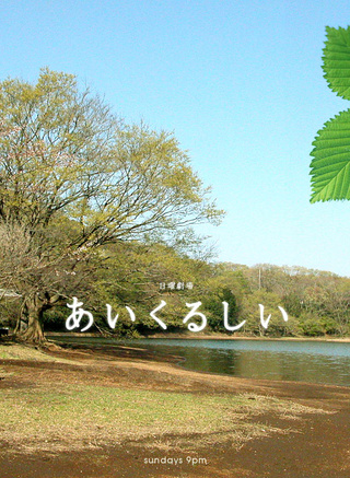 綾瀨遙