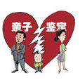 親子鑑定