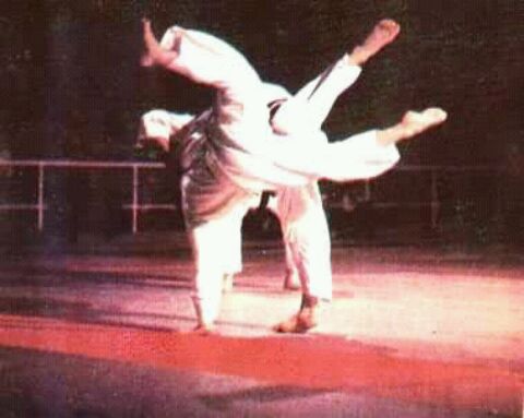 柔道 柔道