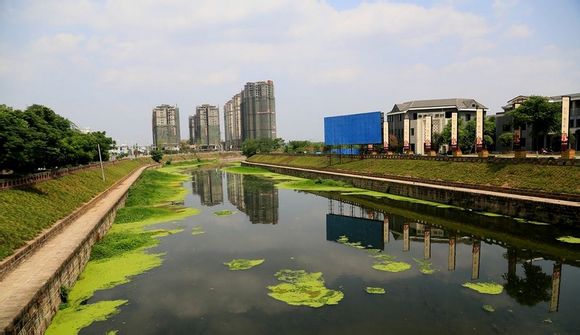 中江縣東江 中江縣東江
