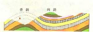 褶皺 褶皺