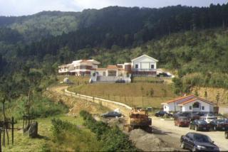 東眼山森林遊樂區 東眼山森林遊樂區