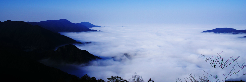井岡山 井岡山
