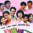 外來媳婦本地郎(2000年廣東廣播電視台電視系列情景劇)