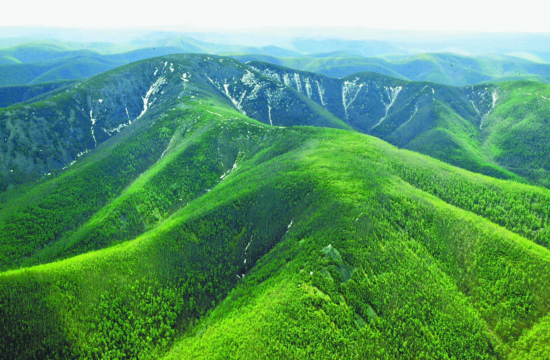大興安嶺大白山 大興安嶺大白山