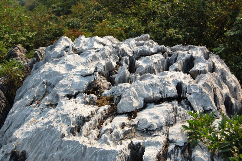 桂陽縣 桂陽縣