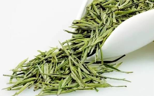 白毛茶