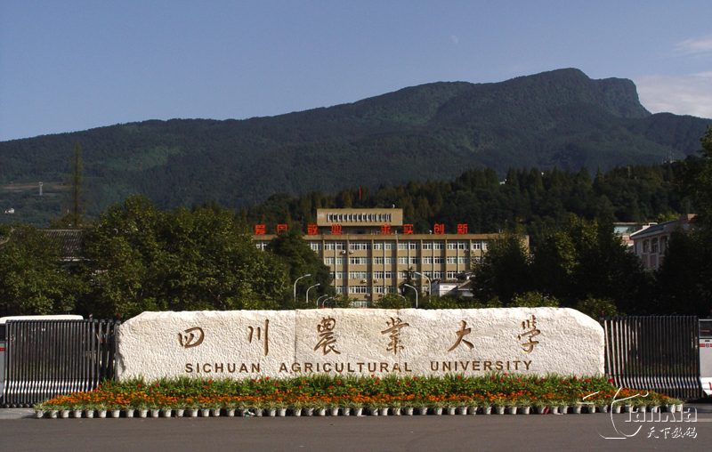 四川農業大學 四川農業大學