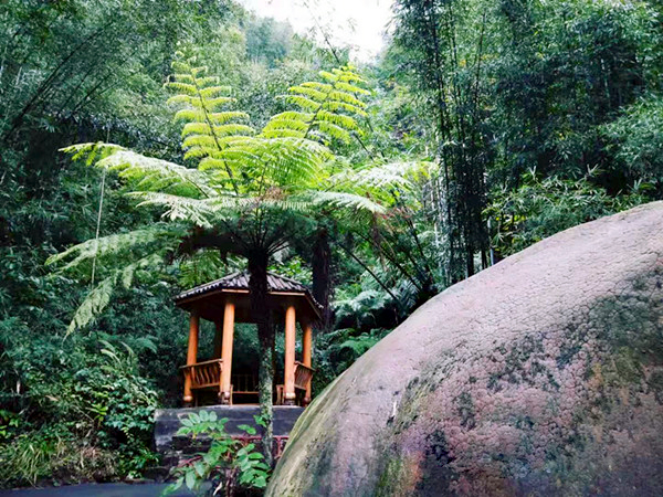 象鼻溝入口 象鼻溝入口