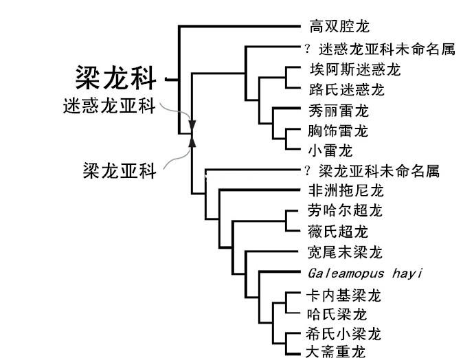 梁龍科物種 梁龍科物種