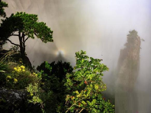 黃山(世界文化與自然雙重遺產,國家5a級旅遊景區) 黃山(世界文化與自然雙重遺產,國家5a級旅遊景區)