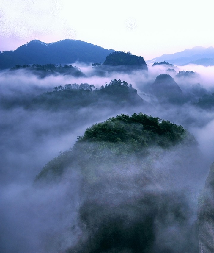 武夷山(江西省和福建省交界的山脈)