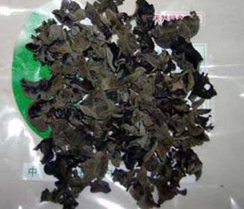 黑木耳 黑木耳