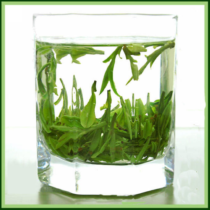 綠茶(茶葉品種) 綠茶(茶葉品種)