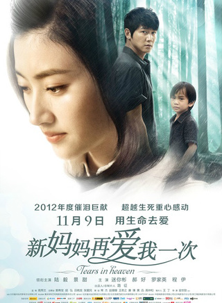 陸毅(中國內地男演員)