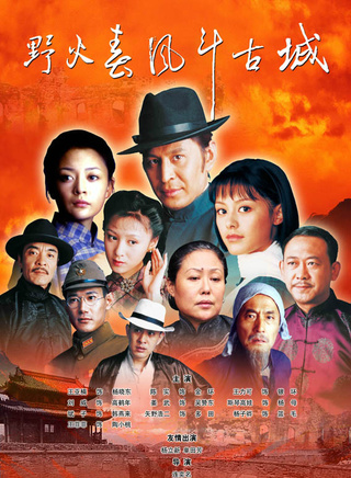 王力可