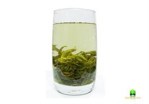 文君綠茶 文君綠茶