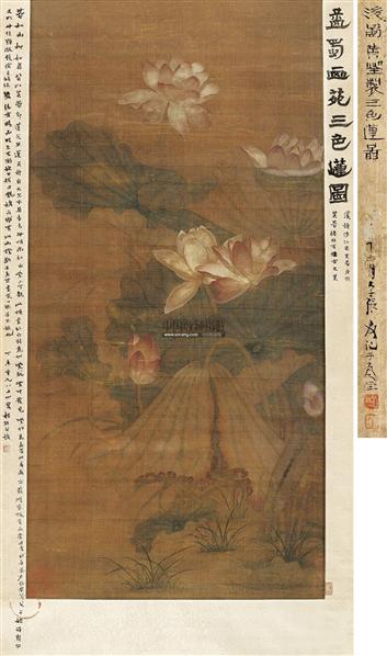 三色蓮圖