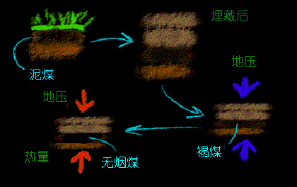 煤炭的形成 煤炭的形成