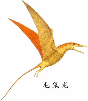 翼龍 翼龍