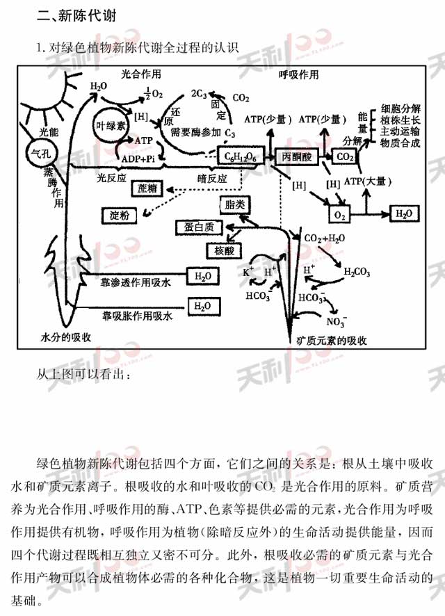 新陳代謝--解析圖 新陳代謝--解析圖