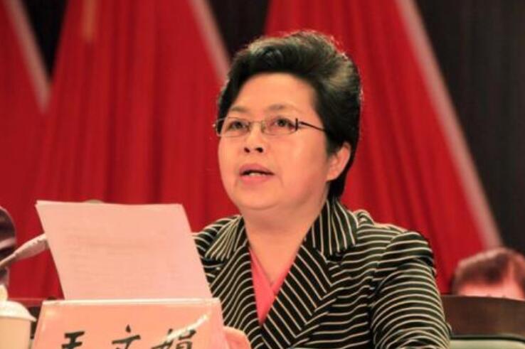 王文娟(開封市十四屆人大常委會副主任)