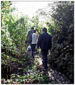 三灣國家森林公園 三灣國家森林公園