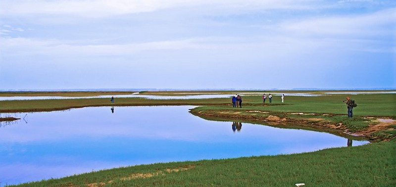 青山島 青山島