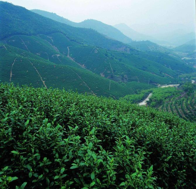 遂川地理 遂川地理