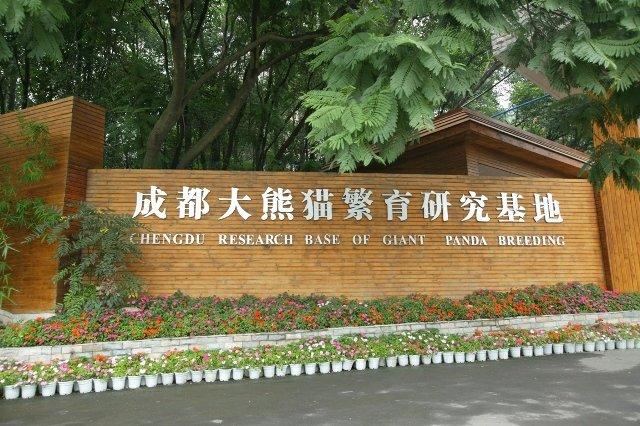 成都大熊貓繁育研究基地 成都大熊貓繁育研究基地