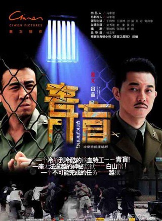 姜鴻(中國內地女演員)