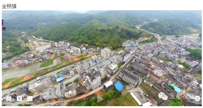 金垌 圩 金垌 圩