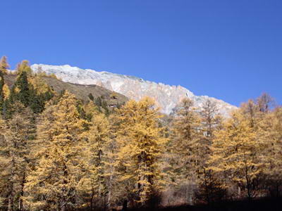 稻城縣 稻城縣