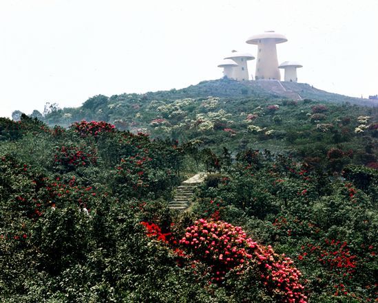 菌子山風景區 菌子山風景區