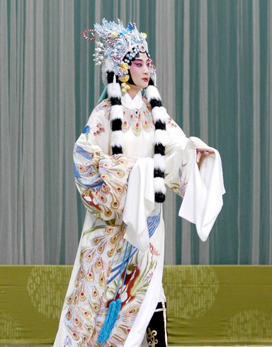 李海燕飾演的蔡文姬戲曲形象 李海燕飾演的蔡文姬戲曲形象